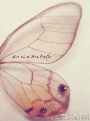 黑暗中等待，挣扎中脱险，破茧成蝶只为与你华丽地 ...