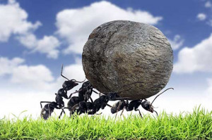 Lebron James Quotes on Commitment & Teamwork-MainPhoto