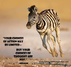 ... of Attraction, Choice Of Your Action And Thought quote, Zebra running