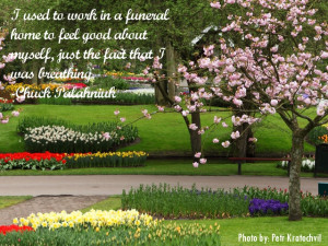 Appreciate Life Picture Quotes