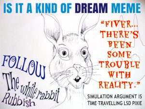 follow_rubbish_simulation_LSD_pixie_dream_meme1.png