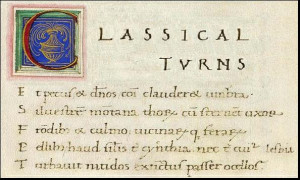 Latin Tattoos: Further Information