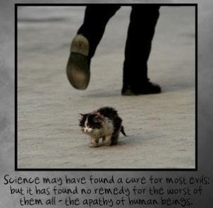 Animal Quotes Cruelty Rights Picture