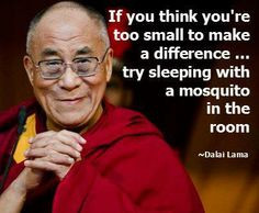 ... difference, try sleeping with a mosquito in the room. Dalai Lama More