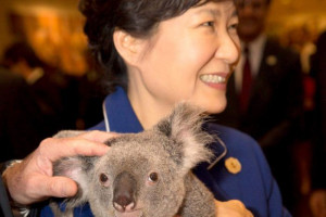 Park Geun-hye with koala