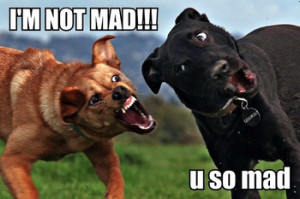 Do you ever have one of those days where you can't keep your emotions ...