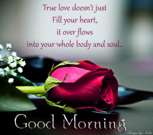 True love quotes with good morning wallpaper ! Red rose for good ...