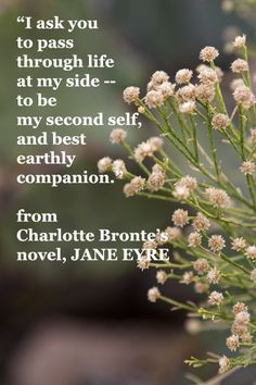 from Charlotte Bronte’s novel, JANE EYRE – On image of wildflowers ...