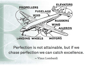 Perfection is not attainable, but if we chase perfection we can catch ...