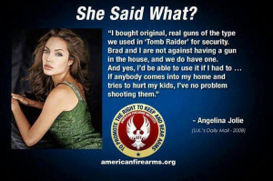 ... celebrities that are either anti gun or pro gun after the sandy hook