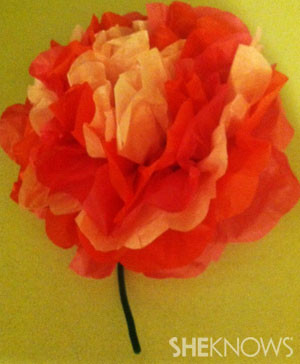 ... create an indoor garden or for making Valentine's Day flowers for Mom