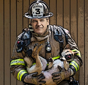brian williams pet rescue jpg