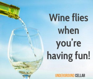 ... Wine Humor, Wine Fly, Vino Cheer, Wine Quotes, Wine Vino, Wine Fun