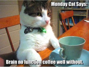Monday cat quotes cute quote cat coffee monday days of the week coffee ...