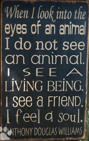 animals #pets #friends #family