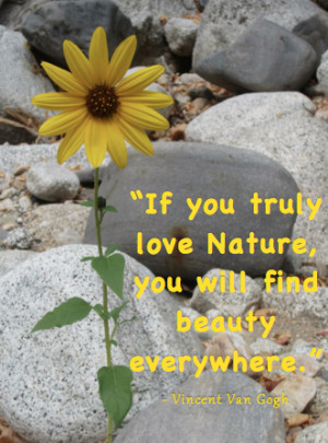 In memory of my favorite pink tulips. A gopher at all of them. Justice ...