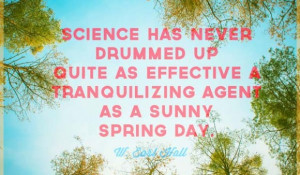 spring-quote