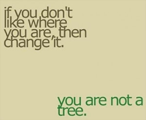 true quotes, you are not a tree - Dump A Day
