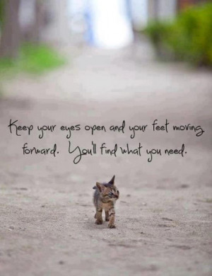 ... your eyes open and your feet moving forward you ll find what you need