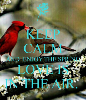 KEEP CALM AND ENJOY THE SPRING LOVE IS IN THE AIR.