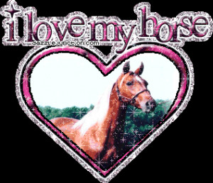 love horse i love my horse