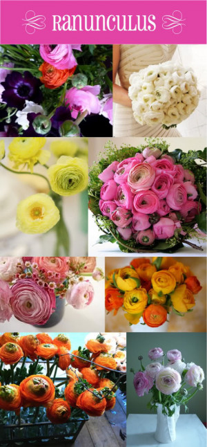 Ranunculus And Peonies For Brittany The Sanctuary Golf Course
