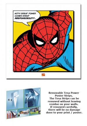 about THE AMAZING SPIDER-MAN - FRAMED ART PRINT / POSTER (QUOTE ...