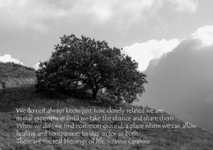 Things in common...my friend Janice is so wise...