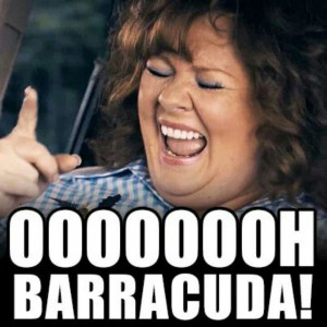 Identity Thief - so funny.