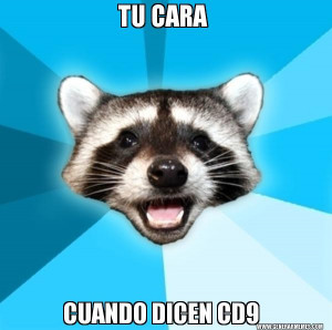 Lame Pun Coon