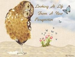 critter quotes new perspective by patches wallpaper critter quotes new