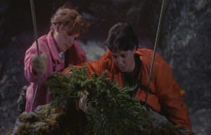 Mr Miyagi Taught Me Everything