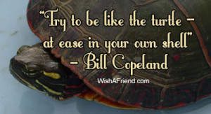 Try to be like the turtle- at ease in your own shell. ~ Bill Copeland