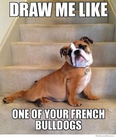 satisfies like a hilarious dog meme. Take a cute pic, add a funny ...