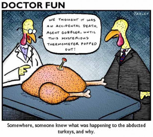 Have Fun This Thanksgiving (16 Funny Pics)