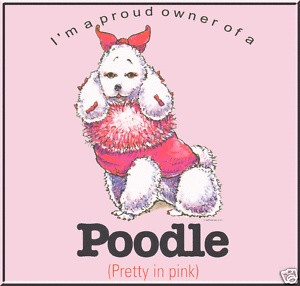 am a proud owner of a Poodle! :)