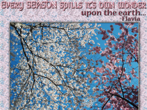 spring season quotes source http www quotesbuddy com quotes ...