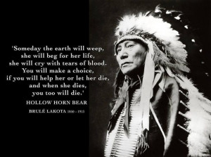 Lakota quote - Hollow Horn Bear #native #quote Native Quotes, American ...