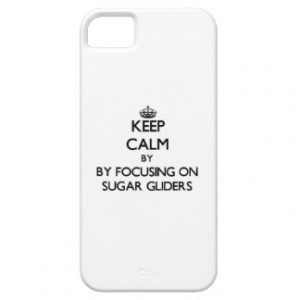 Keep calm by focusing on Sugar Gliders iPhone 5 Cases