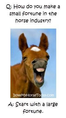 ... small fortune in the horse industry? Start with a large fortune