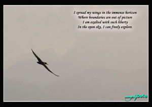 Freedom Quote Inspirational