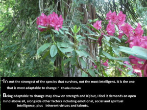 Bring It On Fight To The Finish Quotes