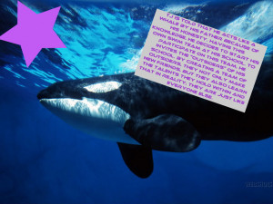 Whale Talk Wallpaper Desktop Background
