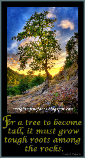 Inspirational Quotes For