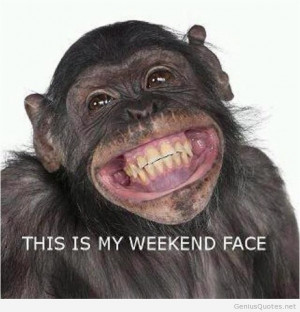 Funny monkey weekend face