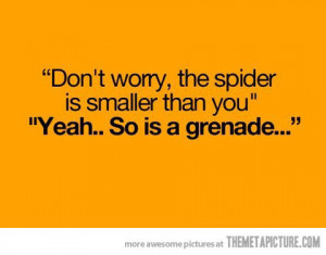 funny-spider-small-granade-quote_large.j