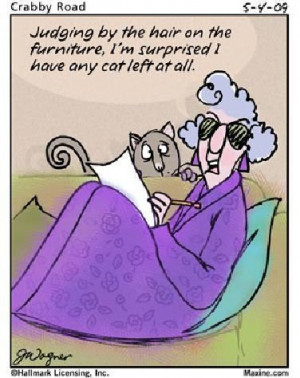 Crabby Granny - bits-and-pieces Photo