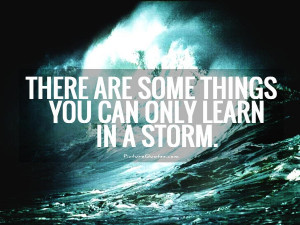 There are some things you can only learn in a storm Picture Quote #1