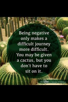 Favorite Quotes & Jokes