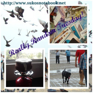 Really Random Tuesdays